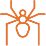 Aranhas Aranhas