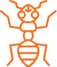 Formigas Formigas